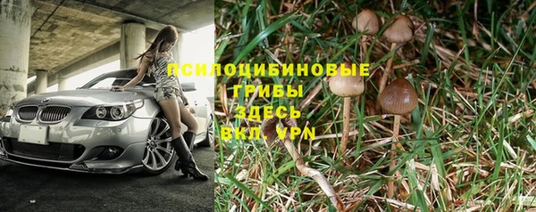 наркотики Алексин